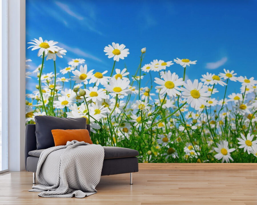 Veld met witte en gele bloemen