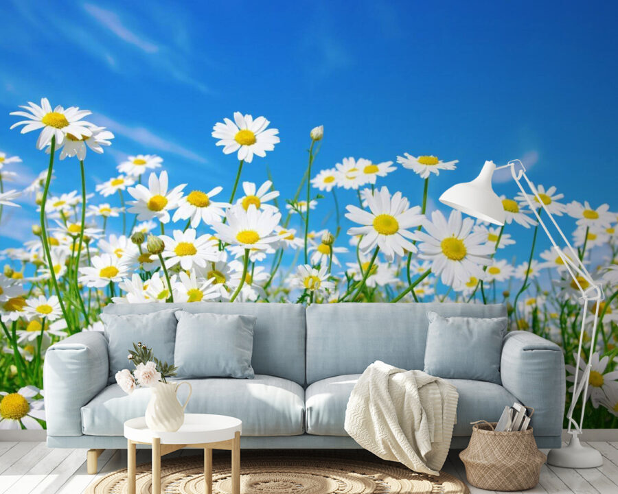 Veld met witte en gele bloemen