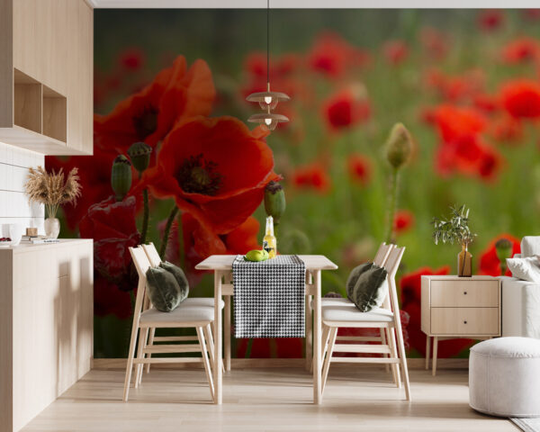 Veld met rode bloemen Veld met rode bloemen