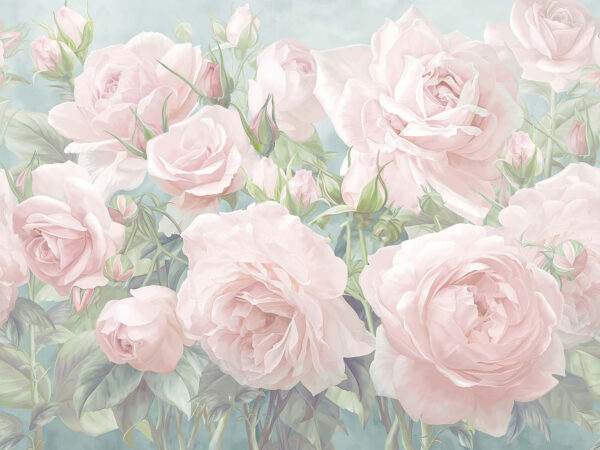 Groep roze rozen Groep roze rozen