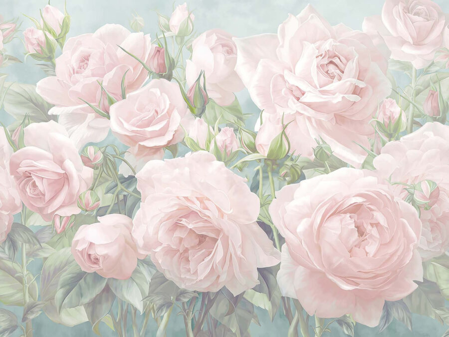 Groep roze rozen