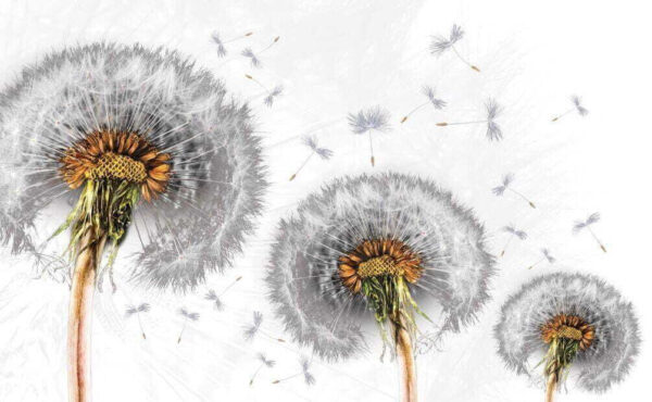 Paardenbloemen die zich verspreiden in de wind Paardenbloemen die zich verspreiden in de wind
