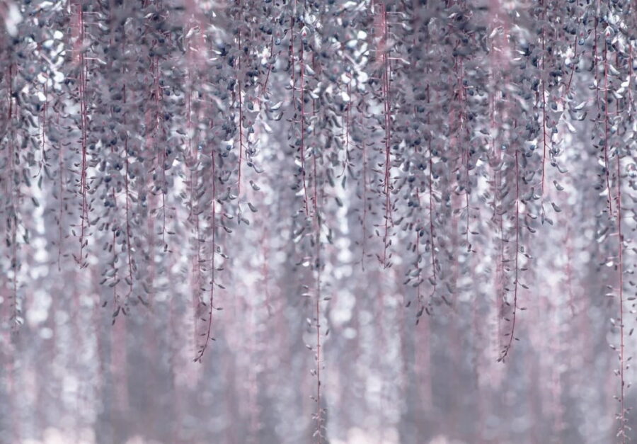 Delicate bladeren in zachte kleuren