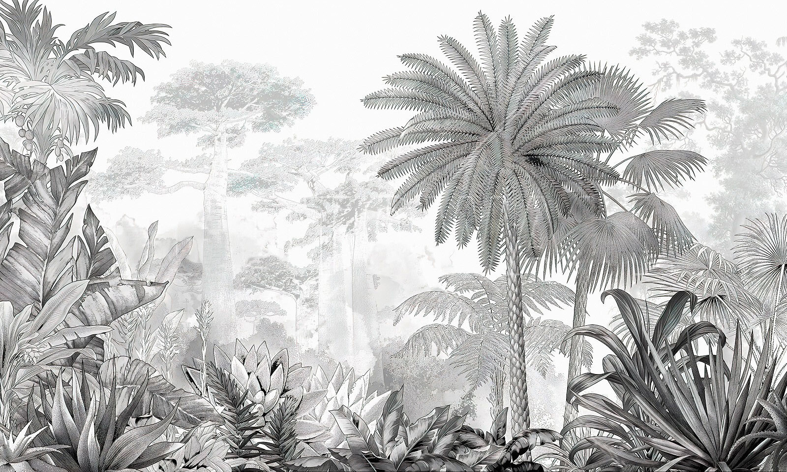 Black and white image of a forest Black and white image of a forest