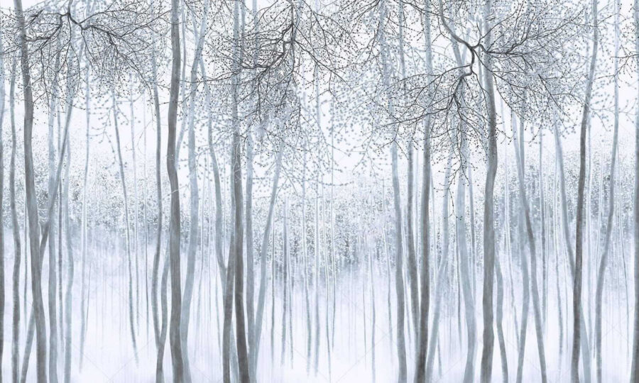 Fotobehang Besneeuwd bos met bomen - Afbeelding 2