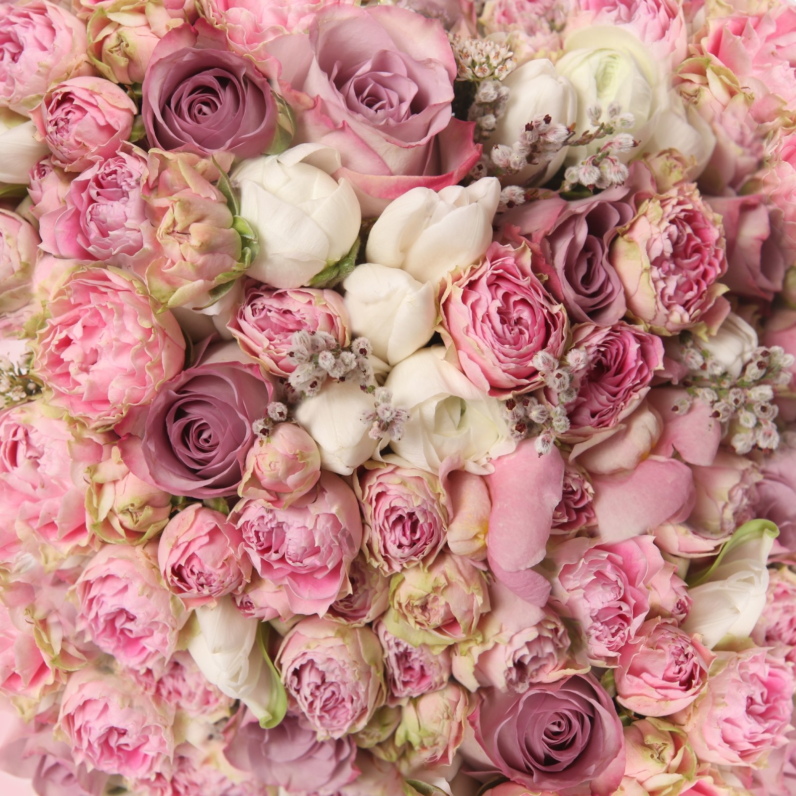 Prachtig boeket van roze rozen u57795p - Prachtig boeket van roze rozen - tegory