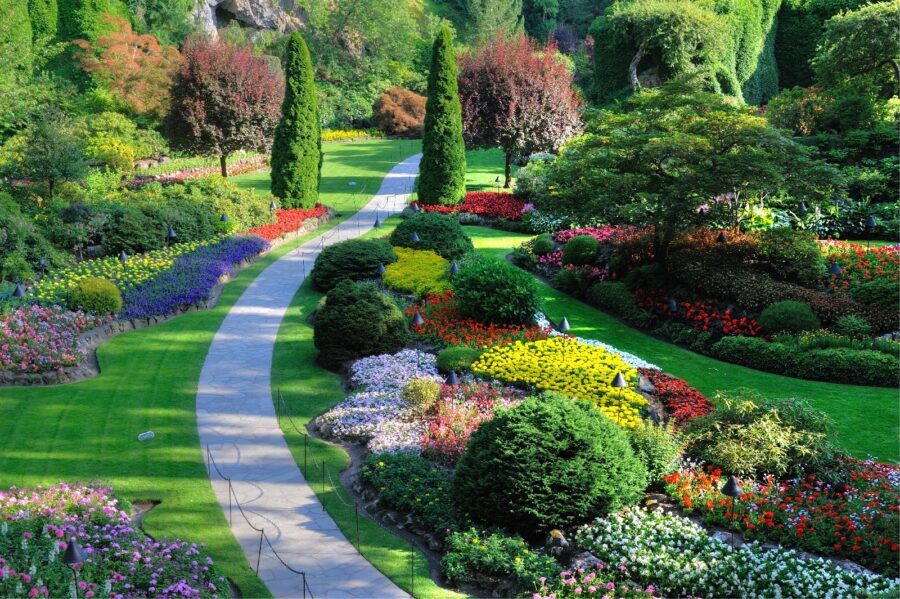 Tuin met veel bloemen en bomen Tuin met veel bloemen en bomen