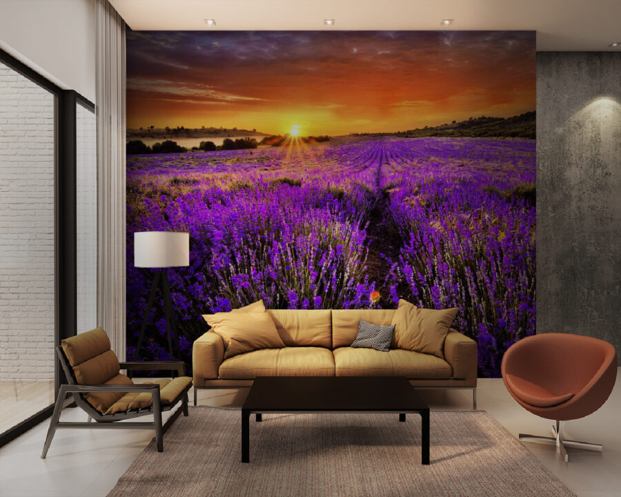 Veld met paarse bloemen Veld met paarse bloemen