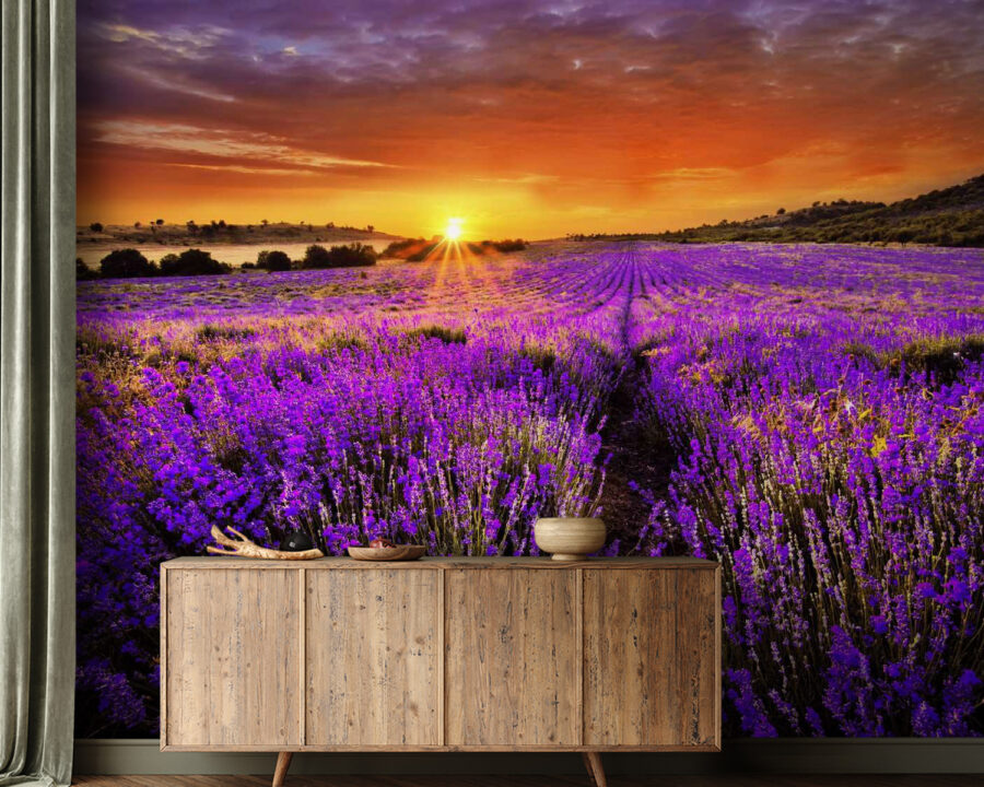 Veld met paarse bloemen Veld met paarse bloemen
