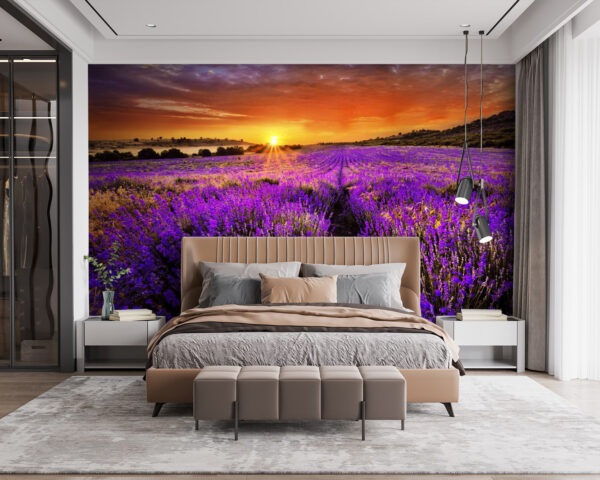 Veld met paarse bloemen Veld met paarse bloemen
