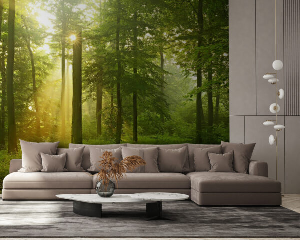 Zon schijnt door bomen Zon schijnt door bomen