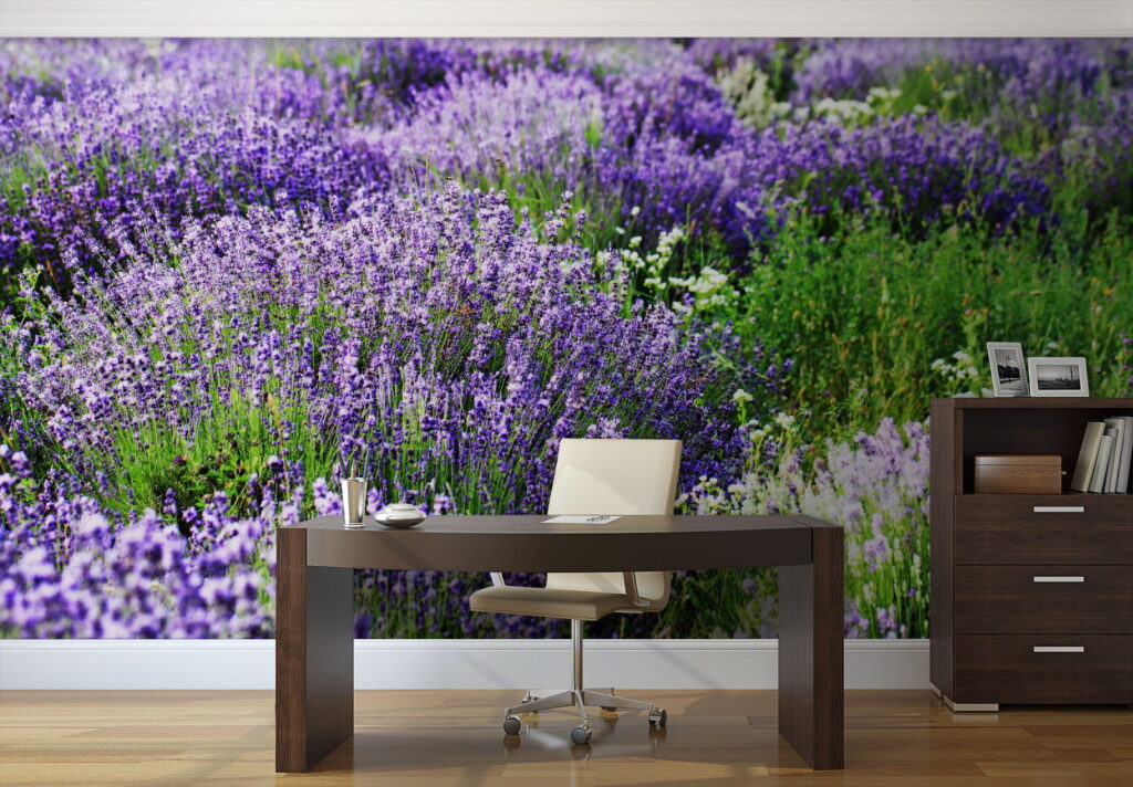 Veld met paarse bloemen u57293piw1 1024x712 - Veld met paarse bloemen - tegory