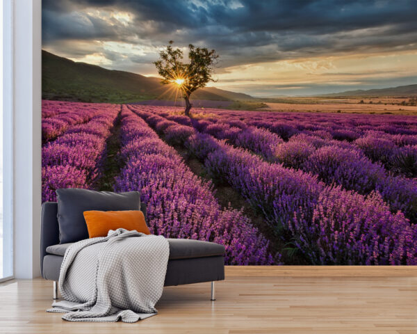 Boom in een lavendelveld Boom in een lavendelveld