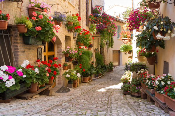 Straat met bloemen aan de zijkant Straat met bloemen aan de zijkant