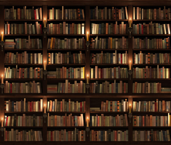 Grote boekenkast vol boeken Grote boekenkast vol boeken