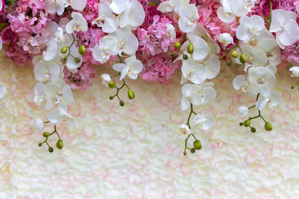Groep witte en roze bloemen Groep witte en roze bloemen