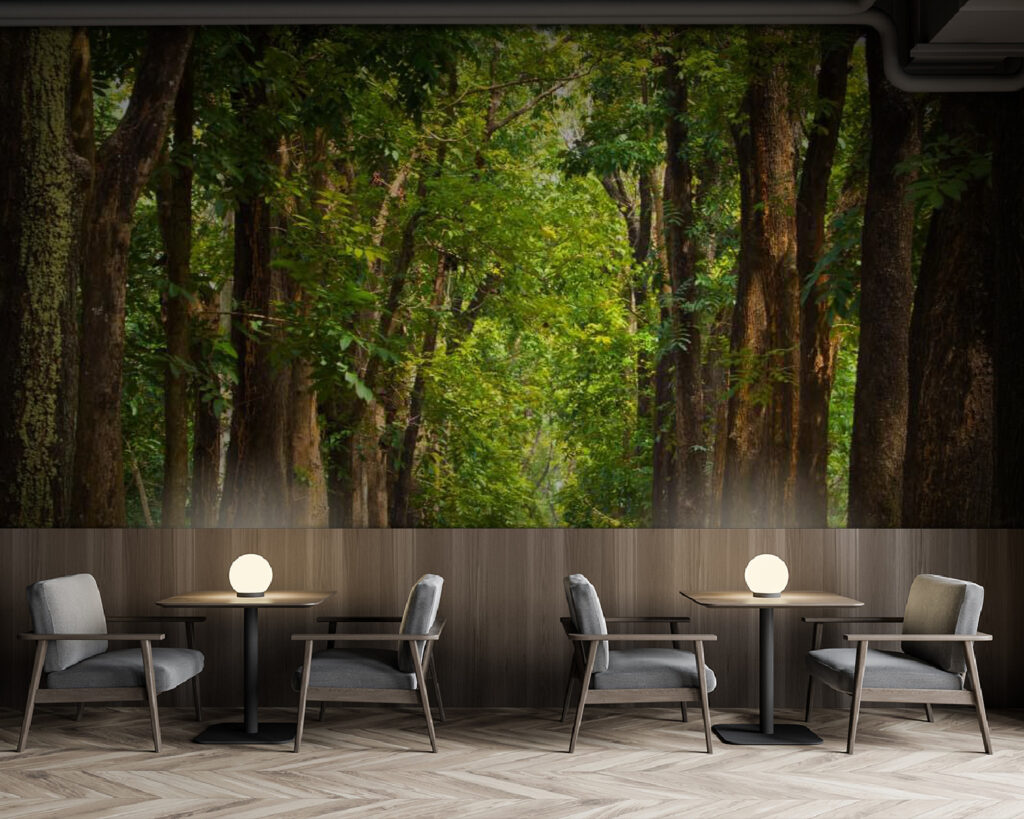 u55418piz137m 1024x819 - Pad met bomen aan de zijkant - tegory