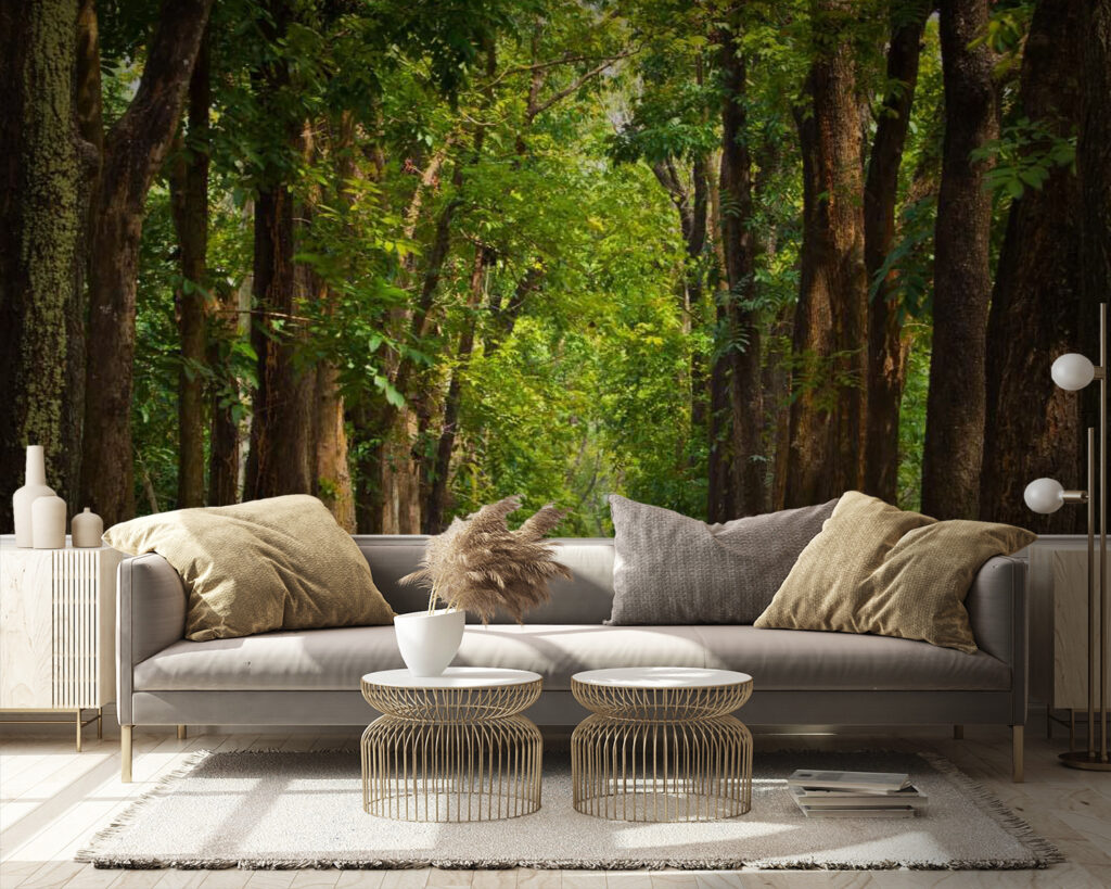 u55418pig9 1024x819 - Pad met bomen aan de zijkant - tegory