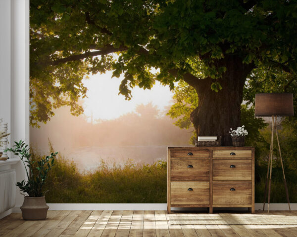 Wall murals Tree with a foggy river u55187pig41 600x480 - Wall murals Tree with a foggy river - tegory