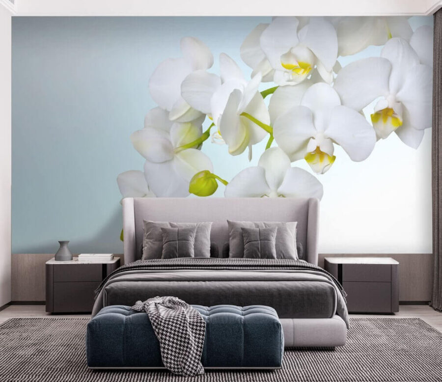 Witte orchideeën boven water