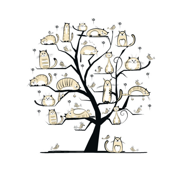 Boom met katten erop Boom met katten erop