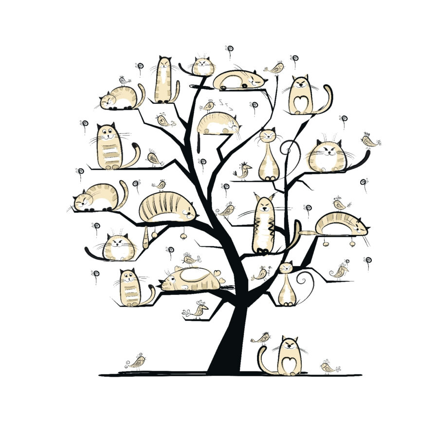 Boom met katten erop Boom met katten erop