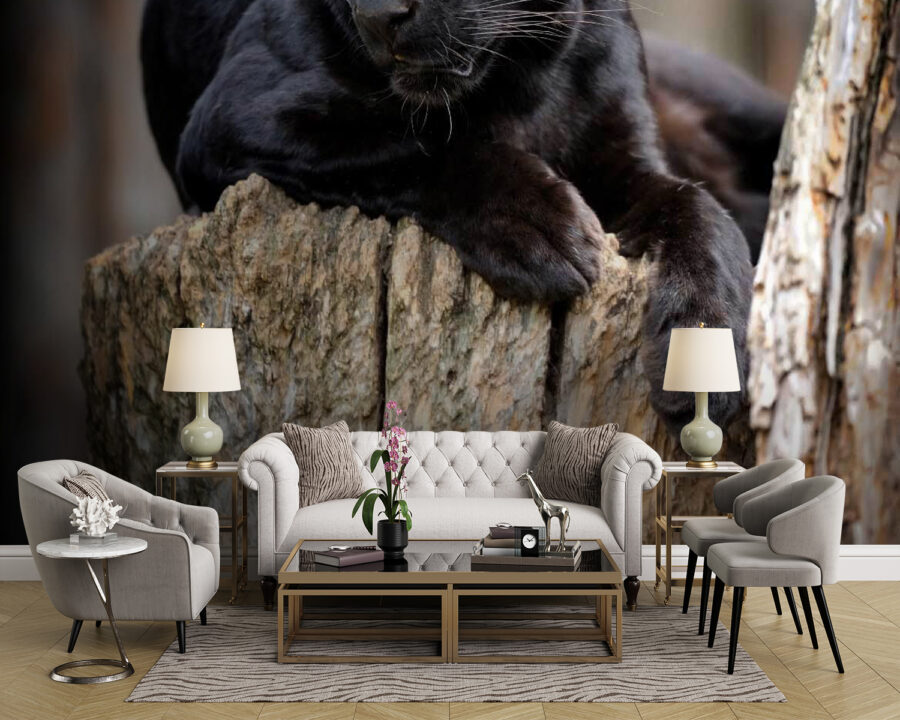 Zwarte panter liggend op een boomstronk