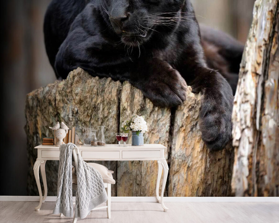 Zwarte panter liggend op een boomstronk