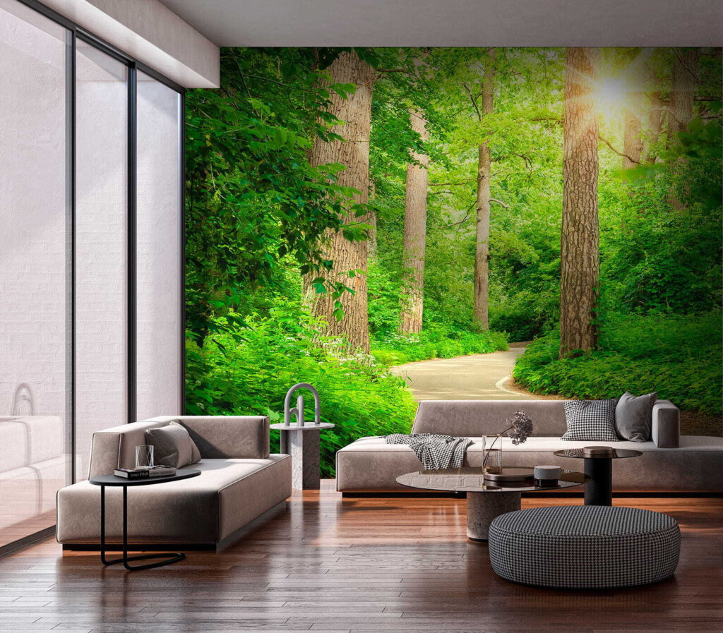 Road through a forest Road through a forest