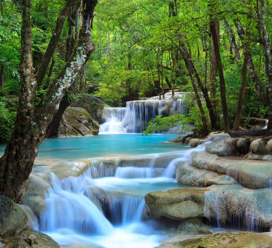 Waterval in een bos
