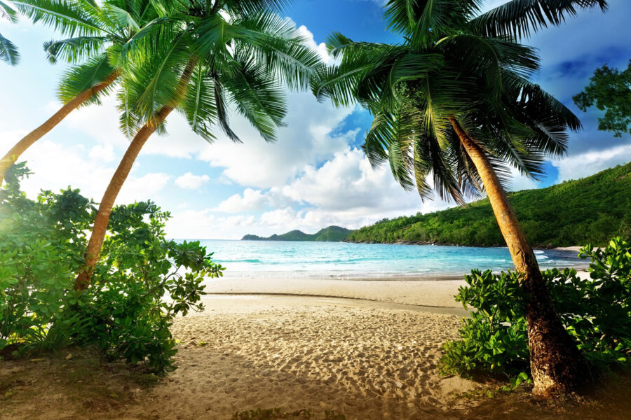 Strand met palmbomen en blauw water