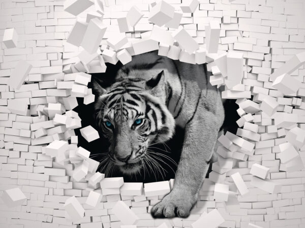 Tijger komt uit een muur Tijger komt uit een muur