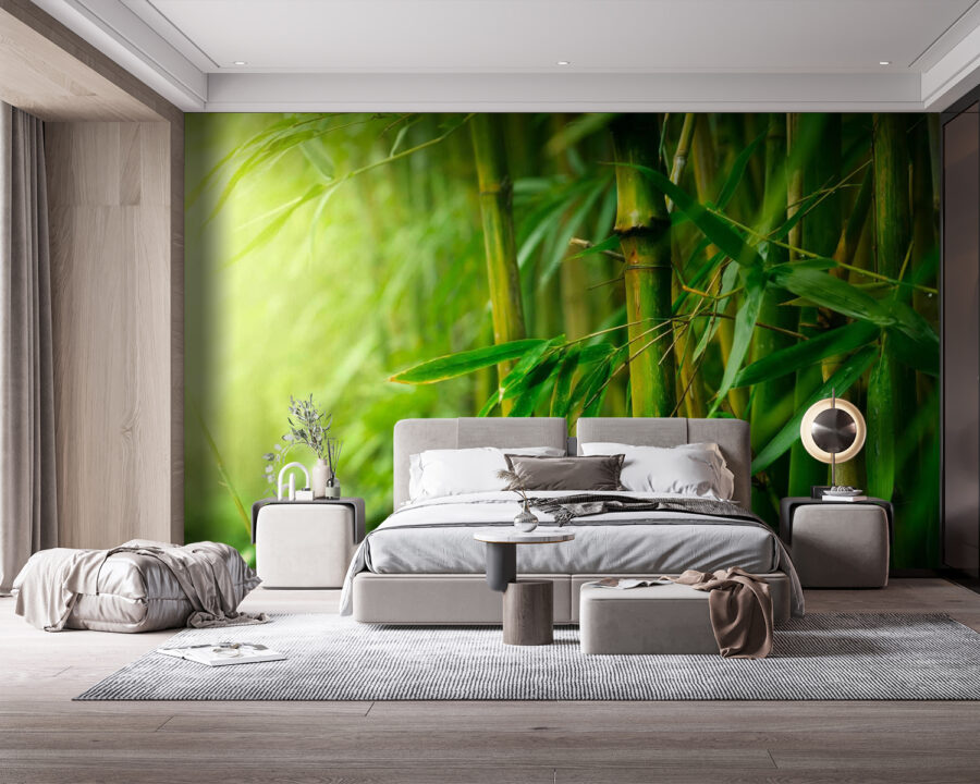 Groen bamboebos met zonlicht