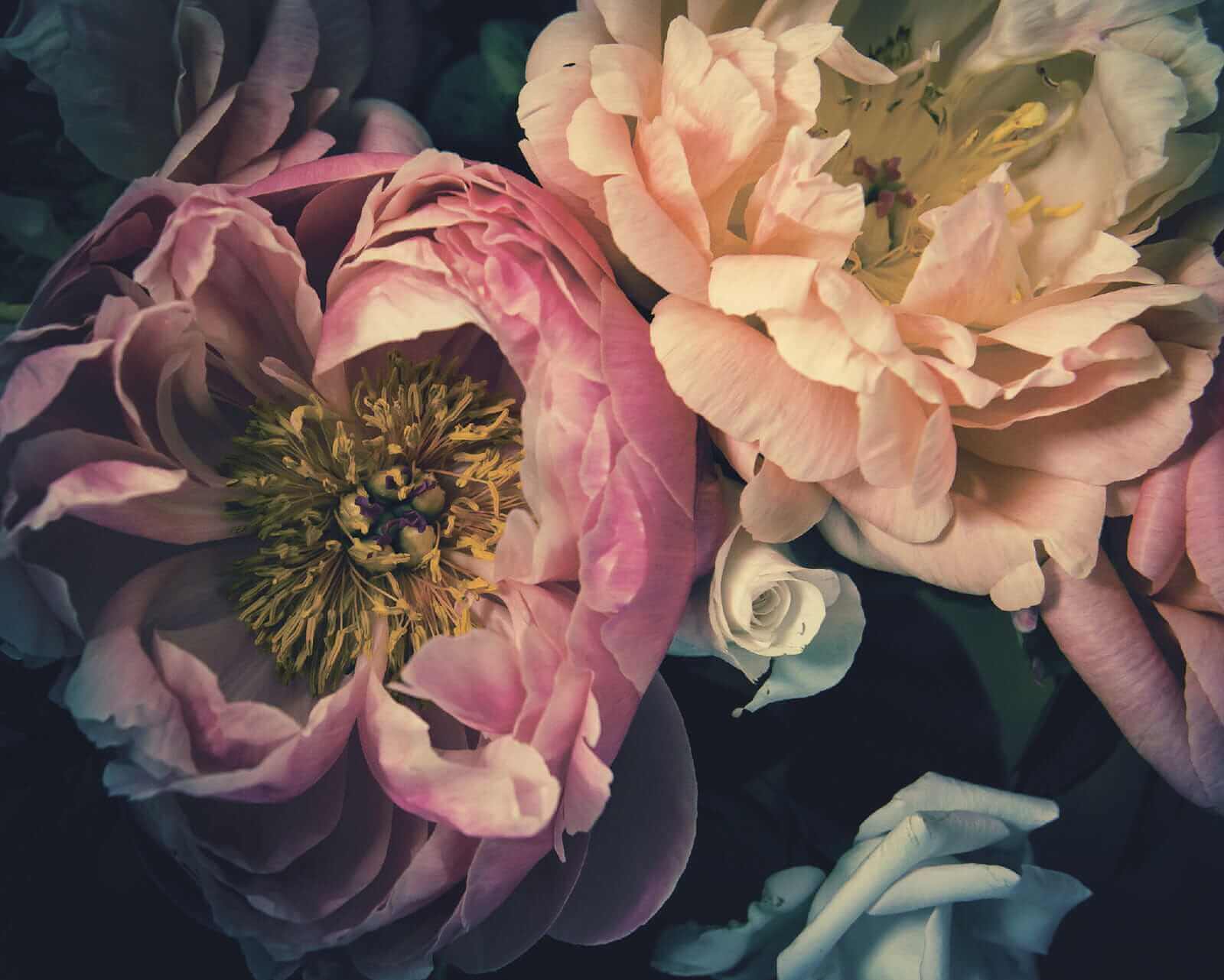 u53297p - Prachtige bloemen in zachte tinten - tegory