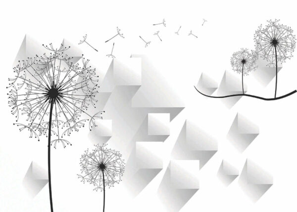 Paardenbloemen en een witte achtergrond Paardenbloemen en een witte achtergrond