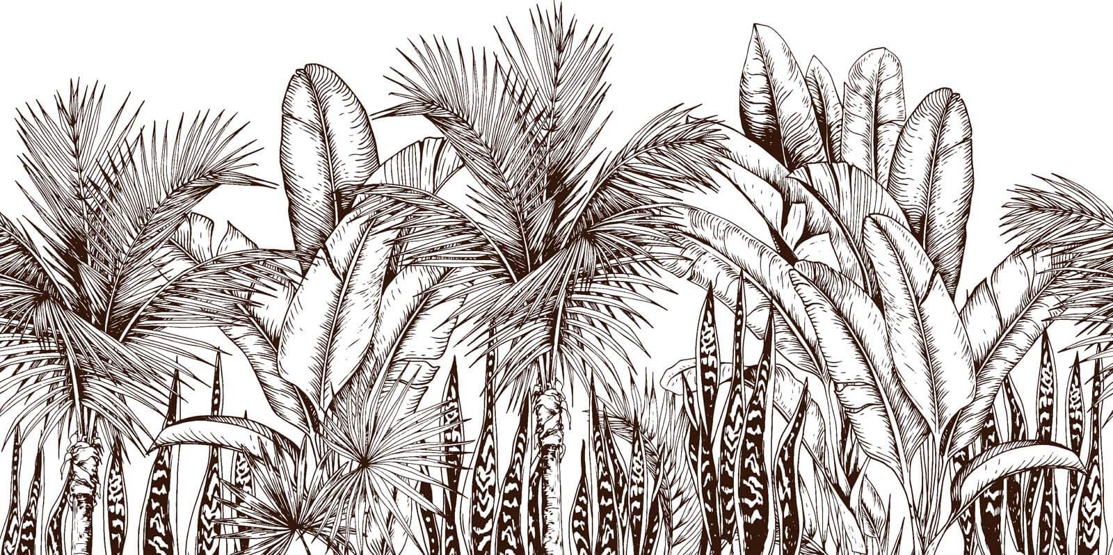 u51098p - Groep palmbomen - tegory