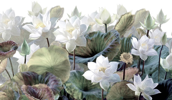 Groep witte bloemen en groene bladeren Groep witte bloemen en groene bladeren