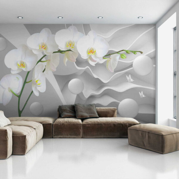 Witte orchideeën en witte ballen Witte orchideeën en witte ballen