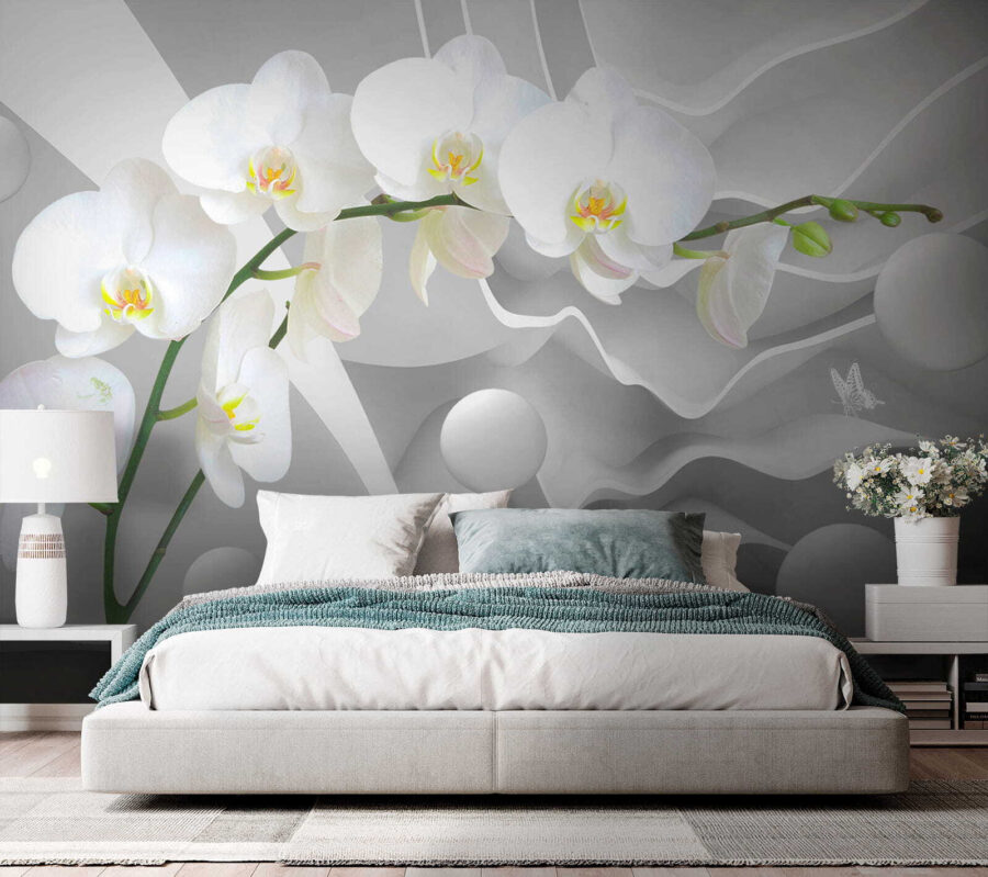 Witte orchideeën en witte ballen