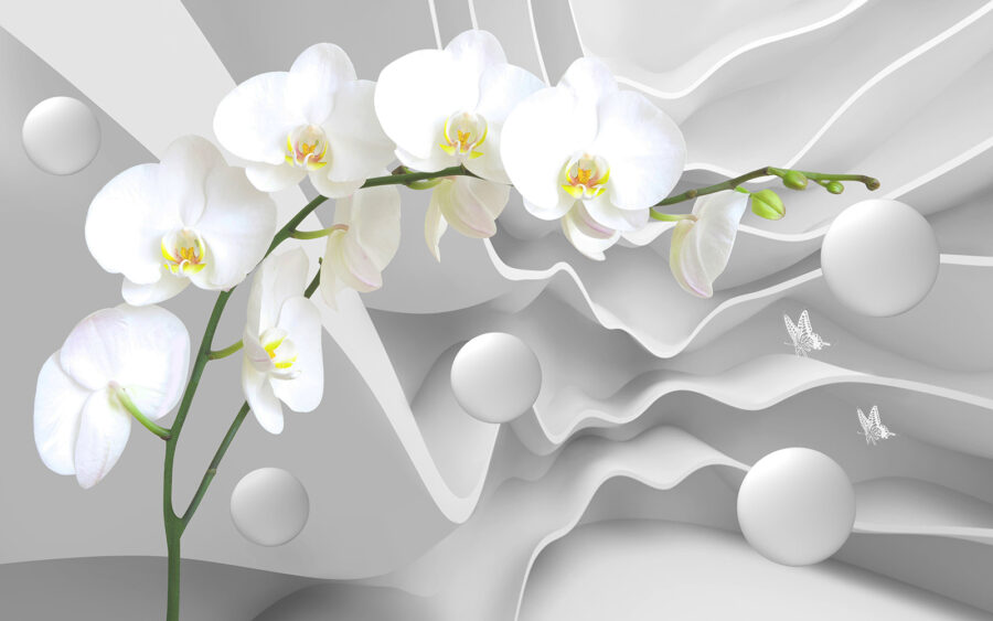 Witte orchideeën en witte ballen