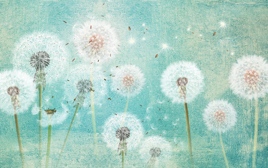 Groep paardenbloemen in de lucht