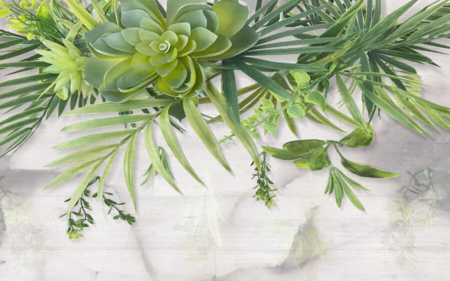 Groene plant met bladeren