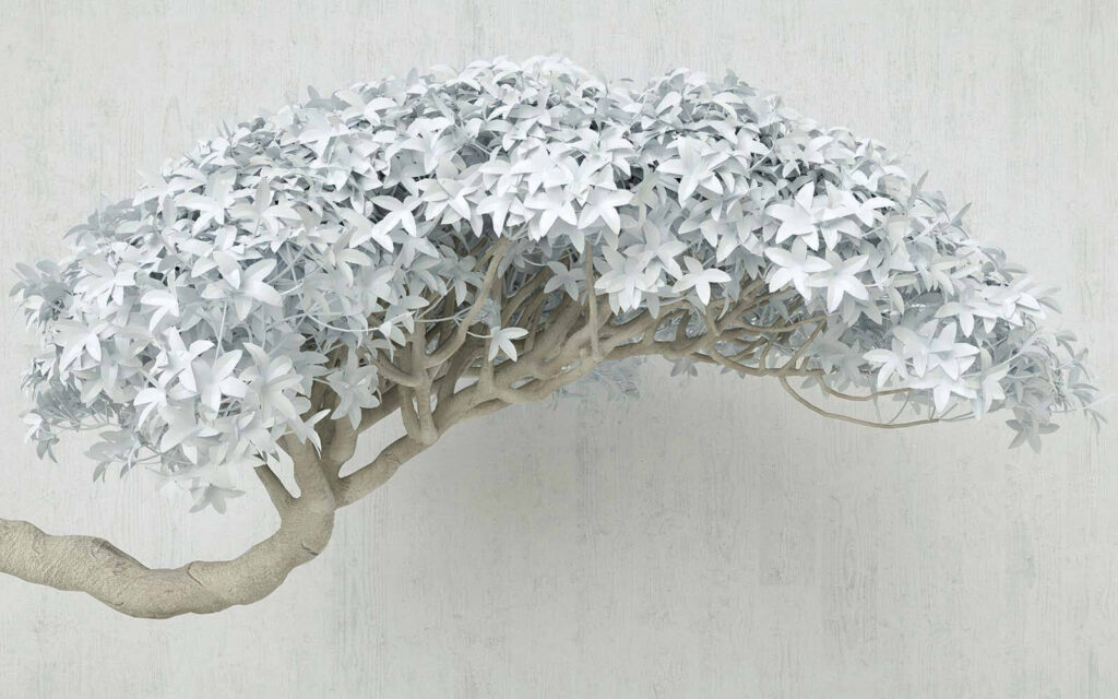 Witte boom met witte bladeren u42486p 1024x640 - Witte boom met witte bladeren
