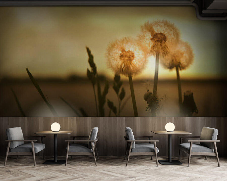 Paardenbloemen koesterend in warm licht