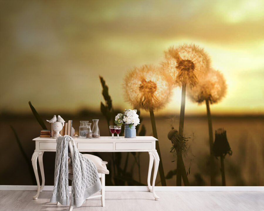 Paardenbloemen koesterend in warm licht