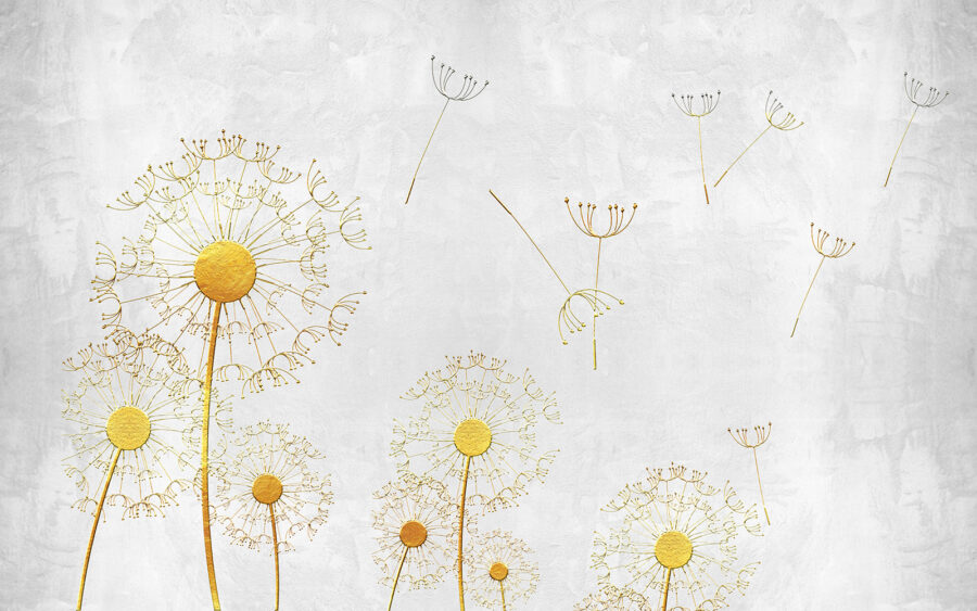 Gele paardenbloemen met zaden