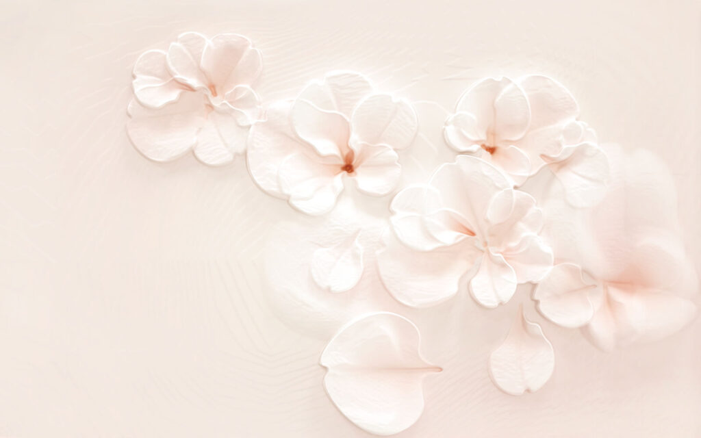 Groep witte bloemen Groep witte bloemen