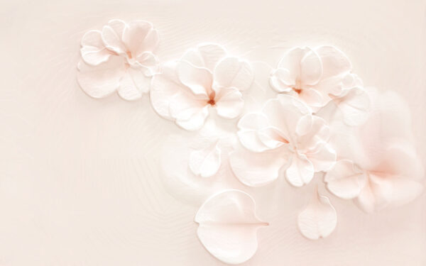 Groep witte bloemen Groep witte bloemen