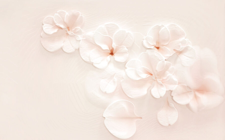 Groep witte bloemen