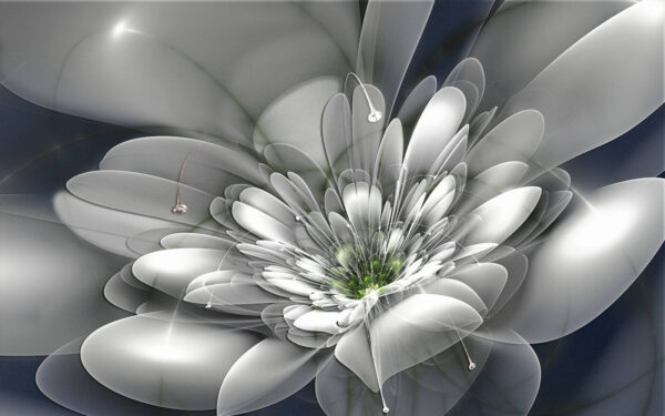 Witte bloem met groen hart u36925p 600x375 - Witte bloem met groen hart - tegory